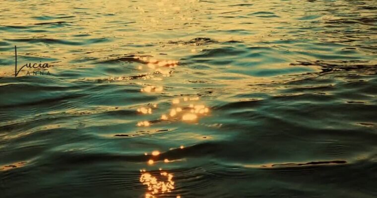 Why Your Energy Speaks Louder Than Your Words (and How to Shift It)