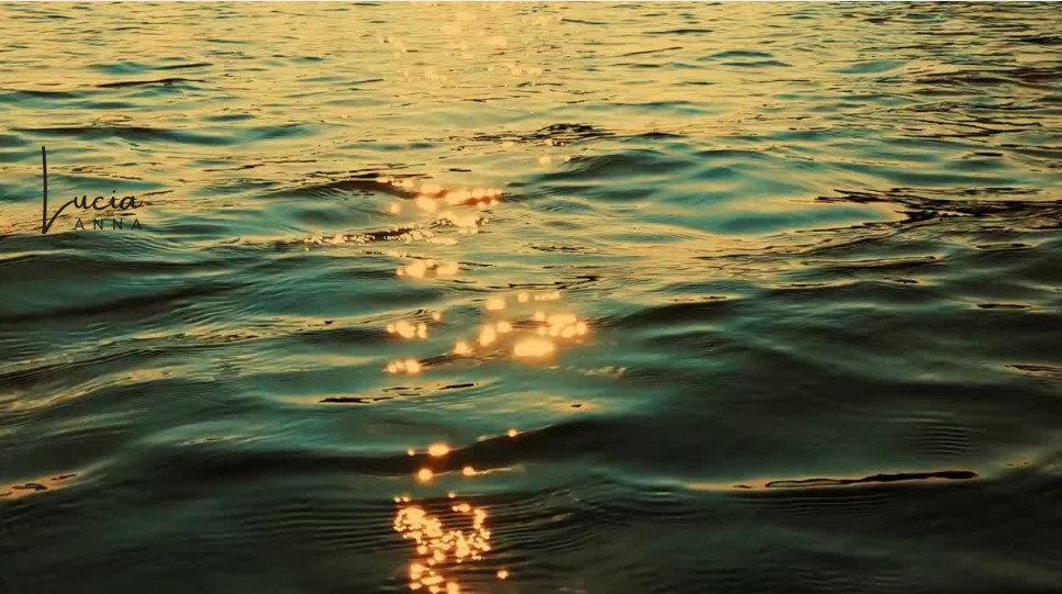 Why Your Energy Speaks Louder Than Your Words (and How to Shift It)