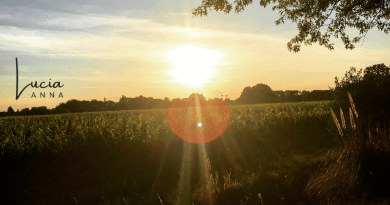 Journal Prompts – Realign