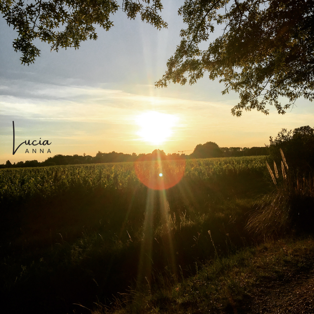 Journal Prompts – Realign
